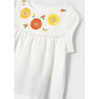 Conj. short bordados 2